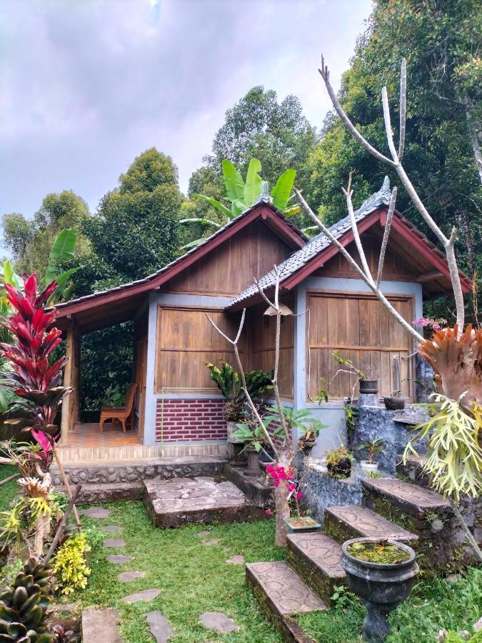 Friendly Homestay Lemukih Singaraja Exteriör bild