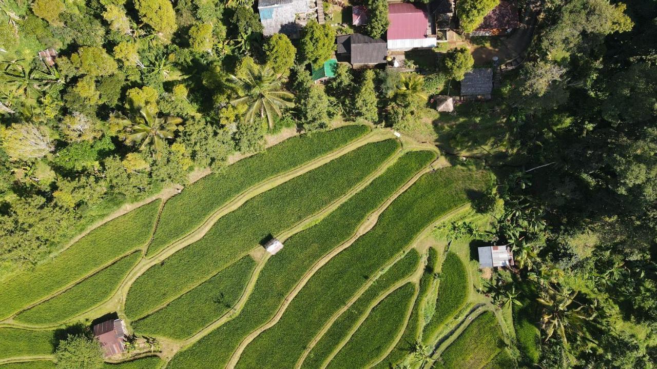 Friendly Homestay Lemukih Singaraja Exteriör bild