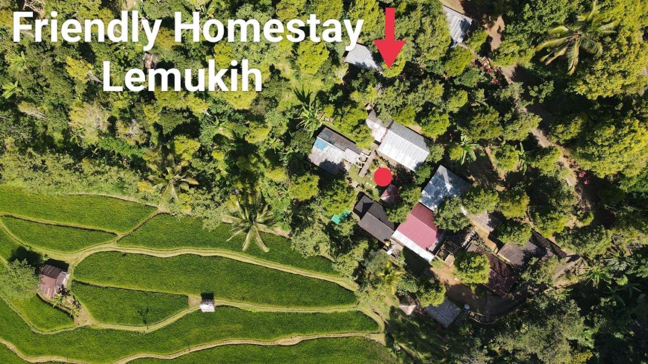 Friendly Homestay Lemukih Singaraja Exteriör bild