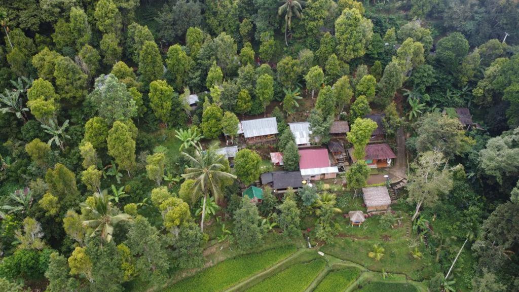 Friendly Homestay Lemukih Singaraja Exteriör bild