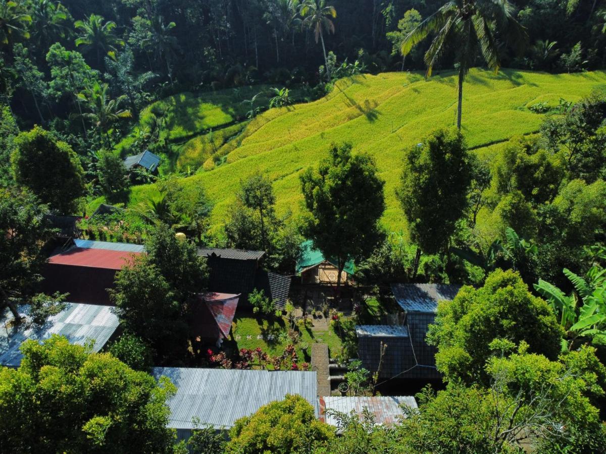 Friendly Homestay Lemukih Singaraja Exteriör bild